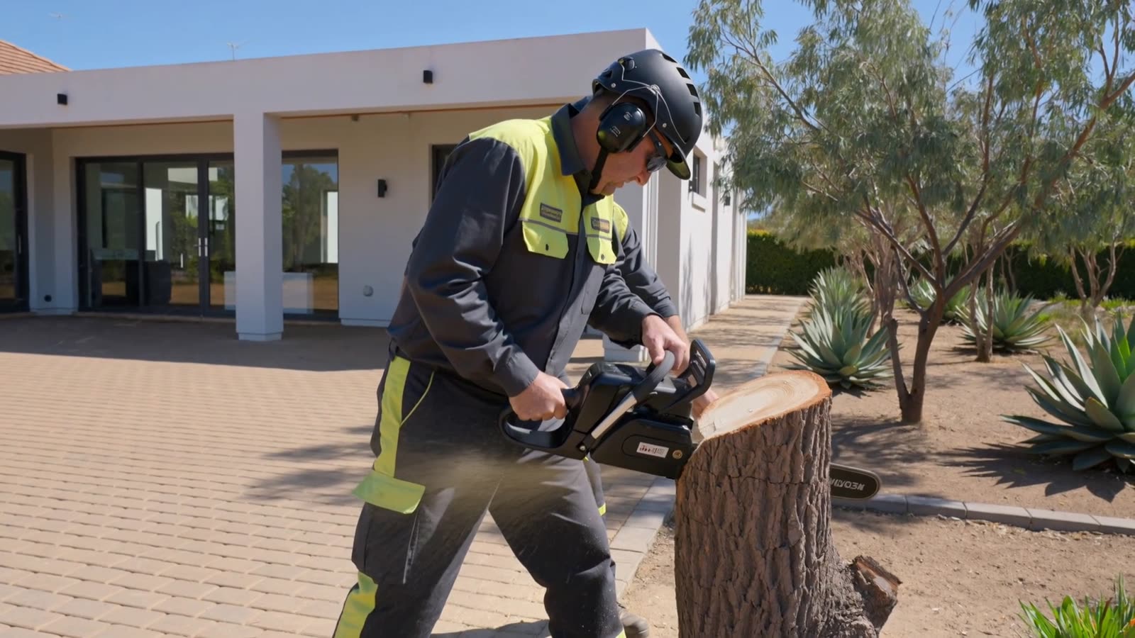 A tree feller in overalls and a helmet cutting a thick tree trunk down to a low stump with a chainsaw on a paved area in front of a house